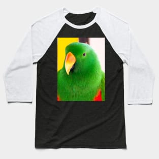 Male Eclectus Parrot (North East Australia) Baseball T-Shirt